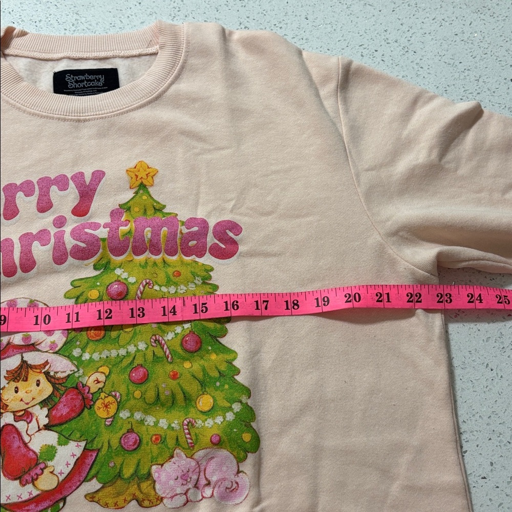 Strawberry Shortcake Berry Christmas Pink Crew Neck Soft Pastel Size M Graphic - Picture 8 of 10